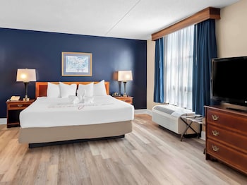 Standard Room, 1 King Bed, Non Smoking, Refrigerator & Microwave