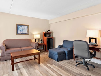 Standard Room, 1 King Bed, Non Smoking, Refrigerator & Microwave