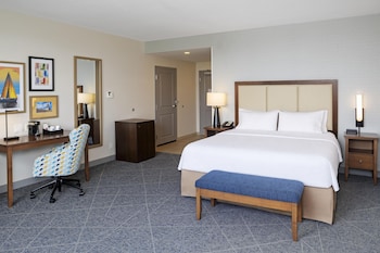 Room, 1 King Bed