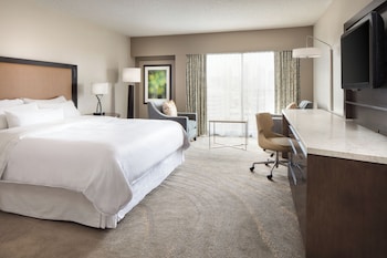 Traditional Room, 1 King Bed (Mobility/Hearing Access, Roll-in Shwr)