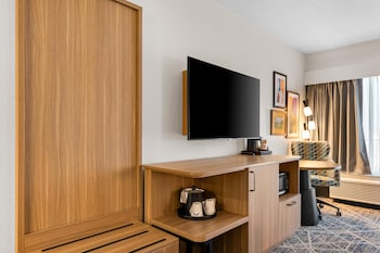 Room, 1 King Bed with Sofa bed