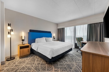 Room, 1 King Bed, Accessible, Non Smoking