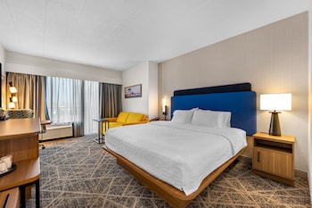 Room, 1 King Bed with Sofa bed