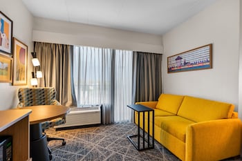 Room, 1 King Bed with Sofa bed