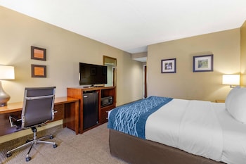 Standard Room, 1 King Bed, Non Smoking