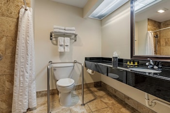 Standard Room, 1 King Bed, Accessible, Refrigerator & Microwave