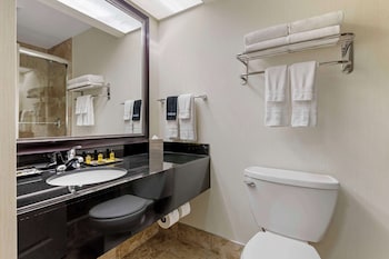 Standard Room, 2 Double Beds, Refrigerator & Microwave (Cozy Room)