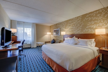 Room, 1 King Bed with Sofa bed (Hearing Accessible)