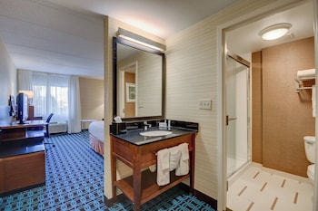 Room, 1 King Bed with Sofa bed (Hearing Accessible)