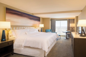 Room, 1 King Bed