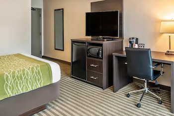 Standard Room, 1 Queen Bed with Sofa bed, Non Smoking (Interior Corridor 2nd Floor)