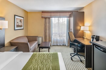 Comfort Care, Standard Room, 1 Queen Bed