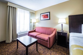 Standard Room, 1 King Bed with Sofa bed, Non Smoking