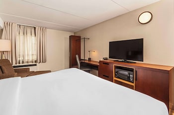 Room, 1 King Bed with Sofa bed, Non Smoking, Top Floor, No Pets