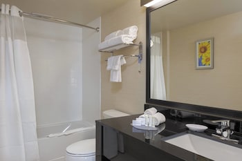 Suite, 1 King Bed with Sofa bed