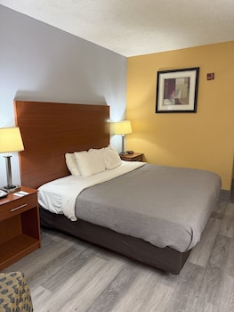 Room, 1 King Bed, Non Smoking