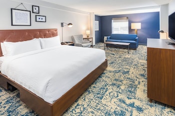 Room, 1 King Bed with Sofa bed