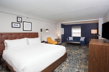Room, 1 King Bed with Sofa bed
