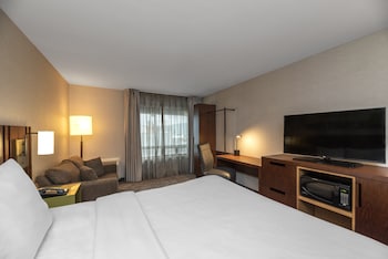 Standard Room, 1 King Bed with Sofa bed, Non Smoking