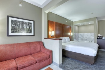 Suite, 1 King Bed with Sofa bed, Non Smoking