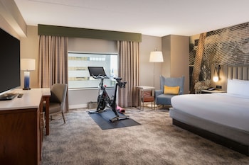 Room, 1 King Bed