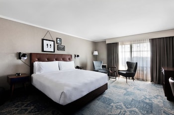 Room, 1 King Bed, Hearing Accessible