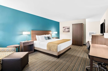 Standard Room, 1 King Bed, Non Smoking, Refrigerator & Microwave (Pet Friendly)