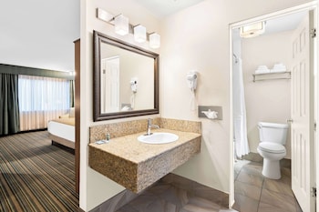 Standard Room, 1 King Bed, Non Smoking, Refrigerator & Microwave (Pet Friendly)