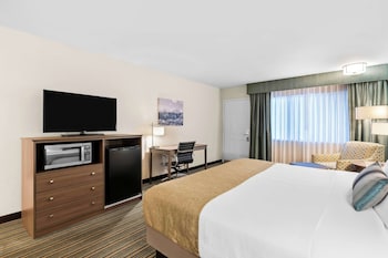 Standard Room, 1 King Bed, Non Smoking, Refrigerator & Microwave (Pet Friendly)