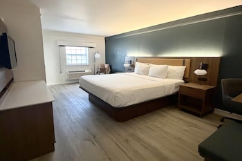Room, 1 King Bed, Non Smoking (Modern)