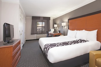 Room, 1 King Bed, Roll-in Shower, Non Smoking