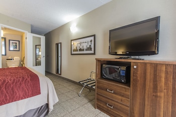 Room, 1 King Bed, Accessible, Non Smoking