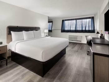 Suite, 1 King Bed