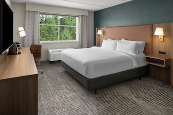 Standard Room, 1 King Bed, Accessible (Communications Accessible)