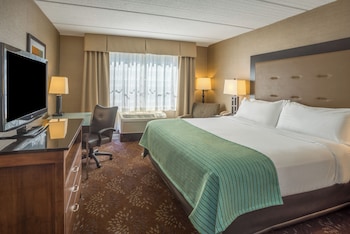 Standard Room, 1 King Bed, Accessible (Communications Accessible)
