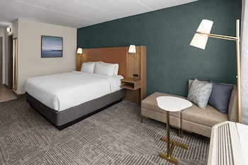 Standard Room, 1 King Bed, Pool View