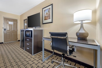 Standard Room, 1 King Bed, Accessible, Refrigerator & Microwave (Walk-in Shower)