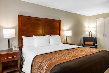 Standard Room, 1 King Bed, Non Smoking