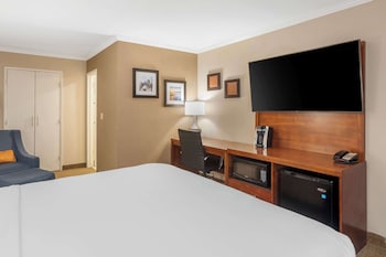 Standard Room, 1 King Bed, Non Smoking
