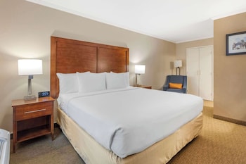 Standard Room, 1 King Bed, Non Smoking