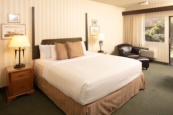 Room, 1 King Bed, Accessible