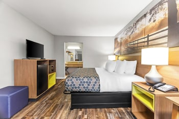 Standard Room, 1 King Bed, Non Smoking