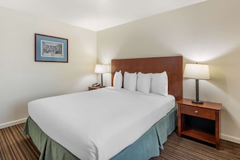 Suite, 1 King Bed, Non Smoking, Balcony