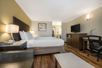 Business Room, 1 King Bed, Non Smoking, Microwave