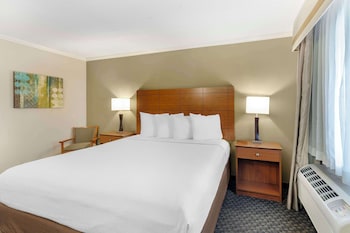 Standard Room, 1 King Bed, Non Smoking, Refrigerator & Microwave