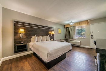 Standard Room, 1 Queen Bed, Non Smoking, Refrigerator & Microwave