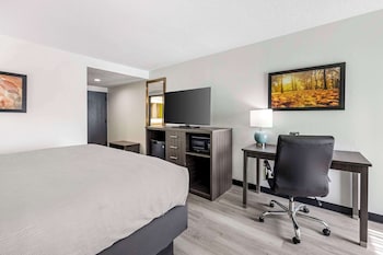 Room, 1 King Bed, Non Smoking (2 person whirlpool  in bathroom)