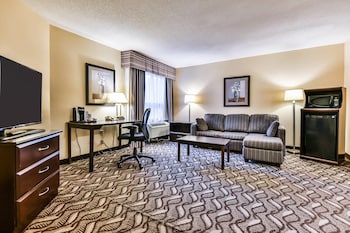 Suite, 1 King Bed with Sofa bed, Non Smoking