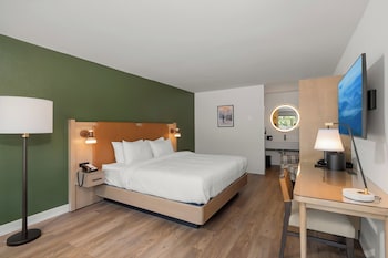 King Bed- Pet Friendly