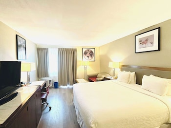 Business Room, 1 King Bed, Non Smoking